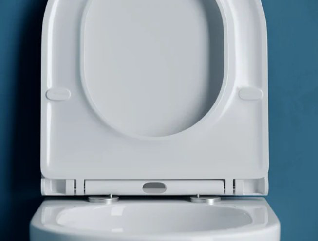 Унитаз Ceramicanova CN4008T белый купить,261465