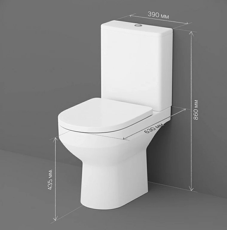 Унитаз AM.PM C708600WH белый купить,NaN
