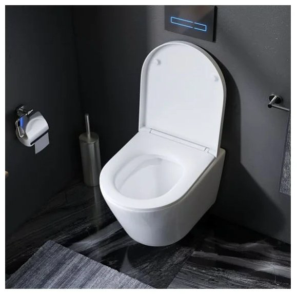 Унитаз AM.PM C741701SC Sense FlashClean белый купить,NaN