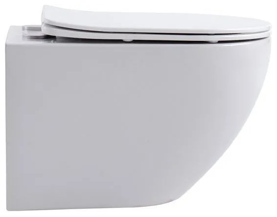 Aquanet унитаз Cetus 2.0 W, санфаянс - ForteMarket Aquanet унитаз Cetus 2.0 W, санфаянс купить,0