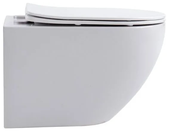 Унитаз Aquanet Cetus 2.0 W белый купить,110800