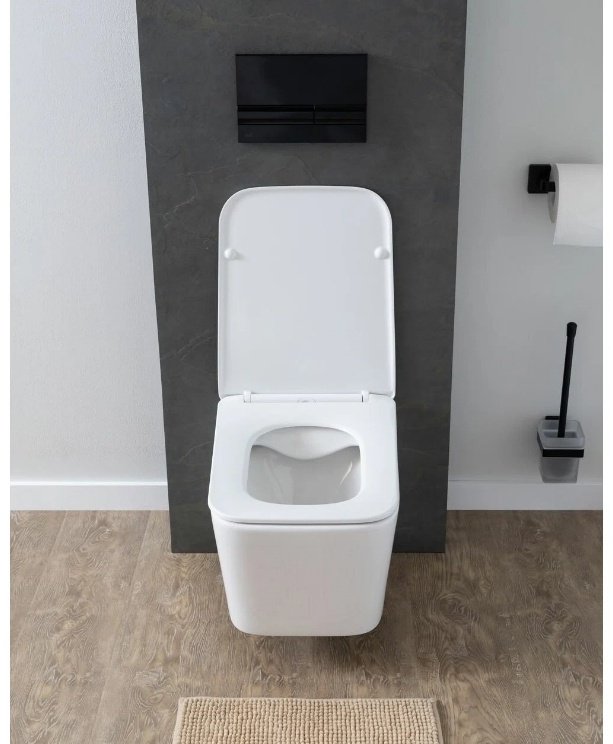 Унитаз Aquanet Tavr 2.0 W Soft Close-SLIMSEAT белый купить,NaN