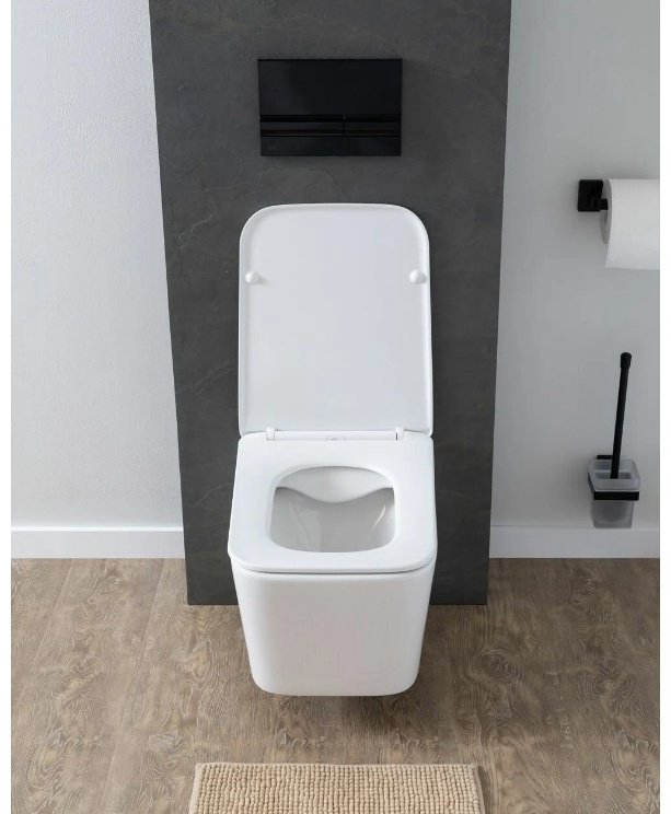 Унитаз Aquanet Tavr 2.0 W Soft Close-SLIMSEAT белый купить,NaN