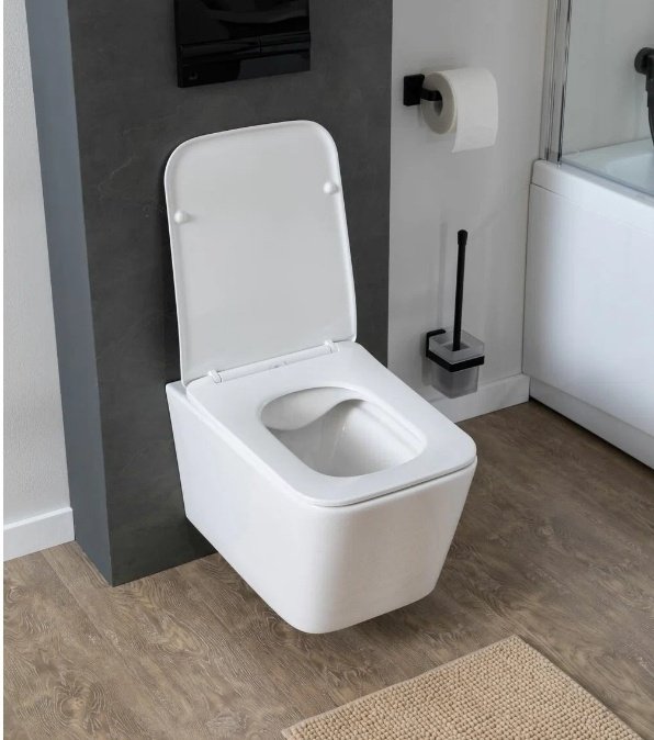 Унитаз Aquanet Tavr 2.0 W Soft Close-SLIMSEAT белый купить,NaN