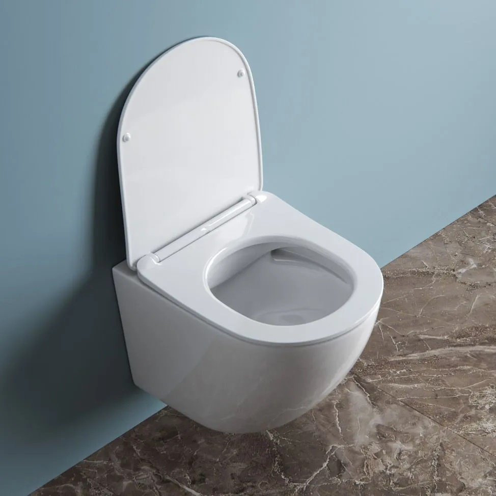 Унитаз BelBagno BB3105CHR/SC/SET.026-081 белый купить,NaN
