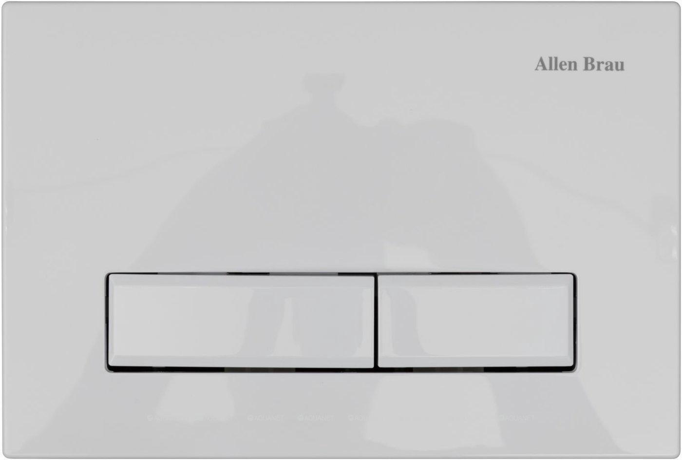Унитаз Allen Brau 9.11100.20 с инсталляцией белый купить,491296