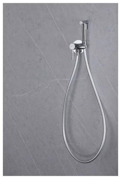 Abber гигиенический душ Wasser Kreis AF8125 купить,0