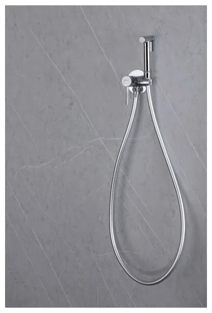 Гигиенический душ Abber Wasser Kreis AF8125 хром купить,115917