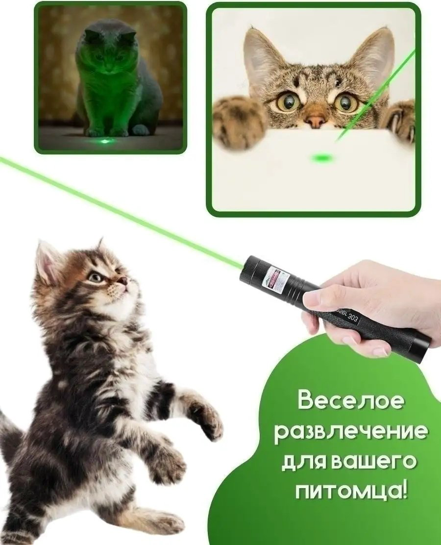 Laser Pointer лазер для совместных игр металл купить,3500