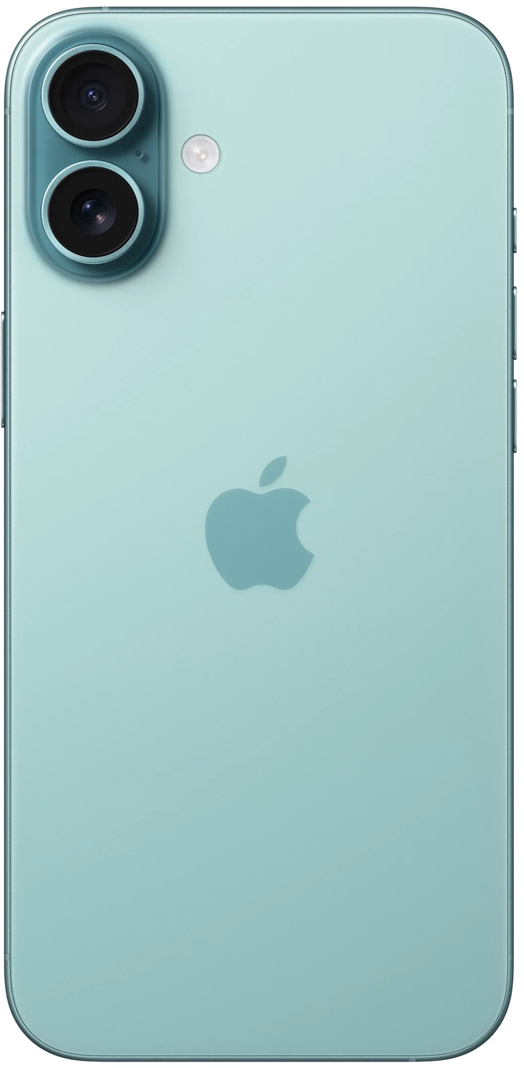 Смартфон Apple iPhone 16 Plus 256GB Teal купить,0