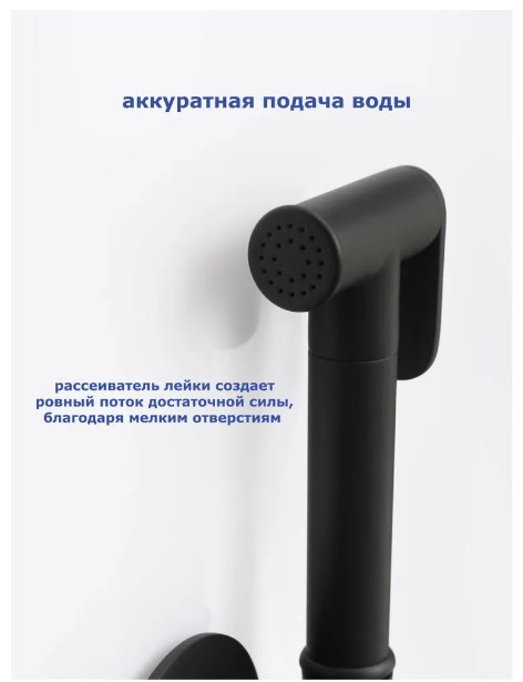 Гигиенический душ Accoona A32130F черный матовый купить,NaN
