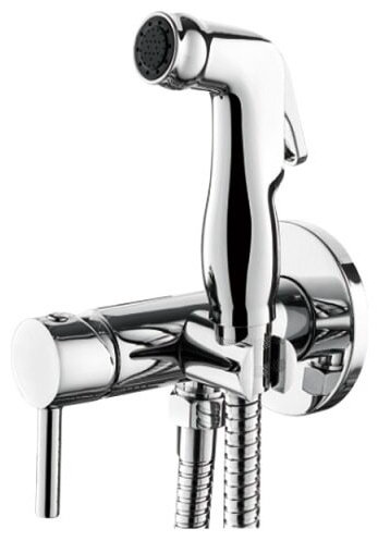 Гигиенический душ Accoona A3290-3 хром купить,NaN
