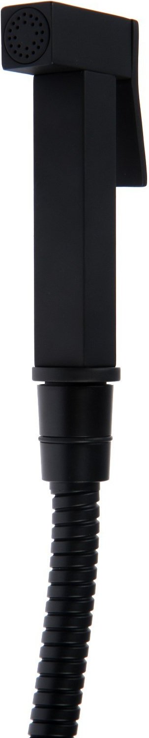 Гигиенический душ Accoona A3290F-4 черный матовый