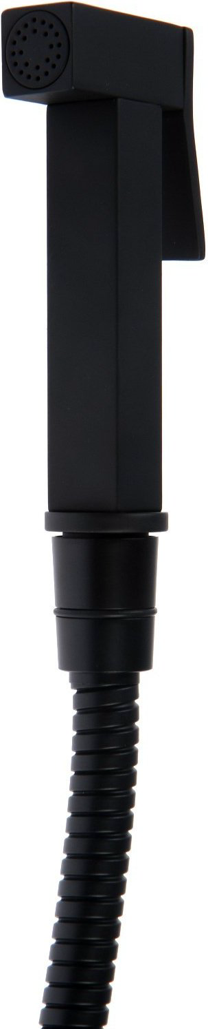 Гигиенический душ Accoona A3290F-4 черный матовый купить,NaN