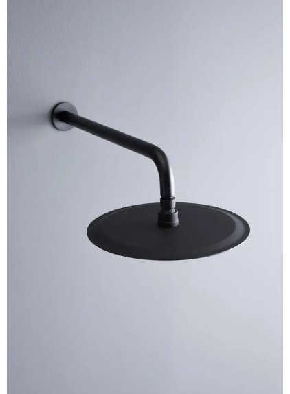ALLEN BRAU верхний душ 5.31A17-31 PRIORITY, латунь - ForteMarket ALLEN BRAU верхний душ 5.31A17-31 PRIORITY, латунь купить,150500