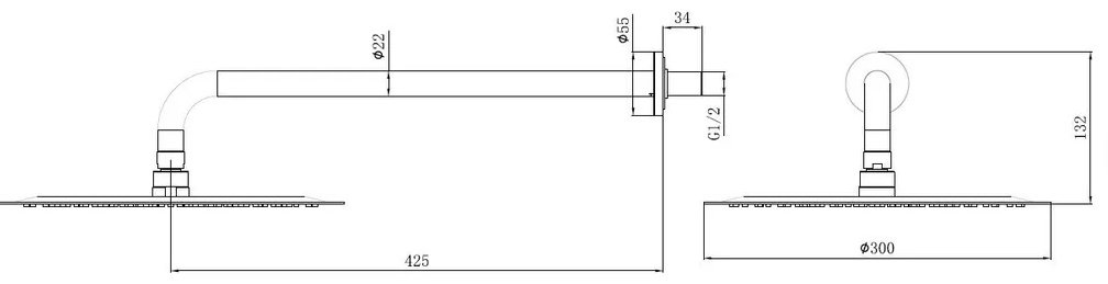ALLEN BRAU верхний душ 5.31A17-31 PRIORITY, латунь купить,0