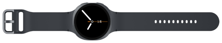 Смарт-часы Samsung Galaxy Watch 8 SM-L330NDAACIS 44mm Dark Gray - ForteMarket Смарт-часы Samsung Galaxy Watch 8 SM-L330NDAACIS 44mm Dark Gray купить,0
