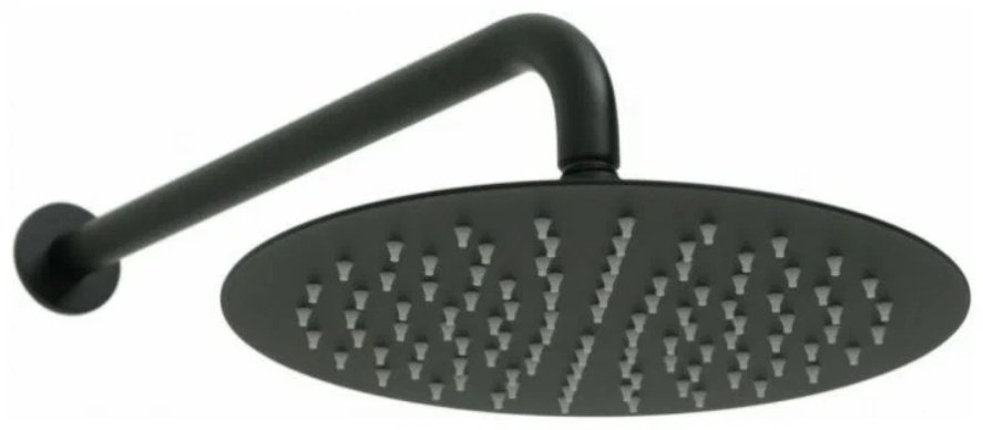 Aquanet верхний душ 5.31017-31 - ForteMarket Aquanet верхний душ 5.31017-31 купить,0