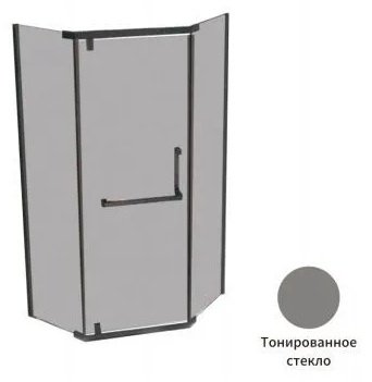 Душевое ограждение Appolo одностенное AP94-10BG-V , 1000х2000 мм