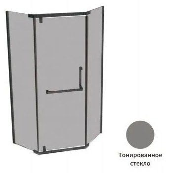 Душевое ограждение Appolo одностенное AP94-10BG-V , 1000х2000 мм купить,NaN