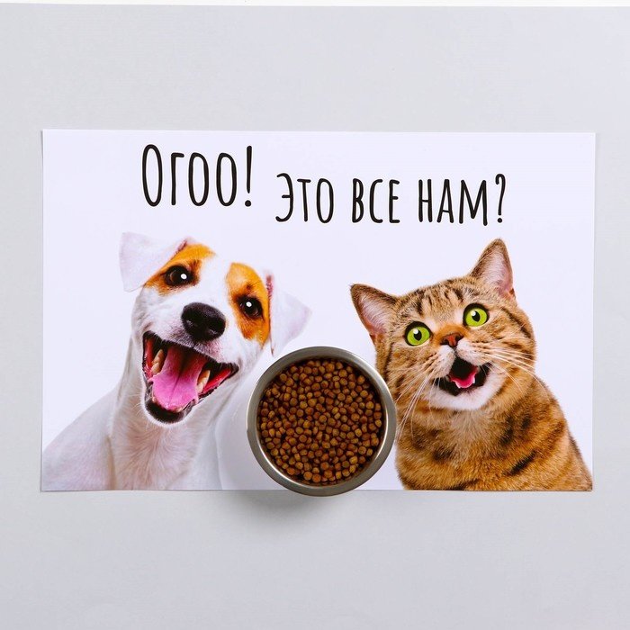 Пижон 7980782 белый 43 см х 28 см х 0,1 см купить,NaN