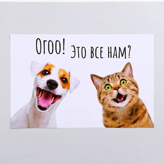 Пижон 7980782 белый 43 см х 28 см х 0,1 см купить,NaN