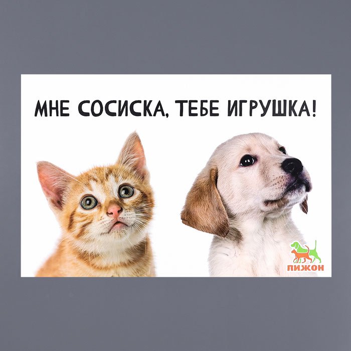 Пижон мультиколор 43x28 см купить,NaN