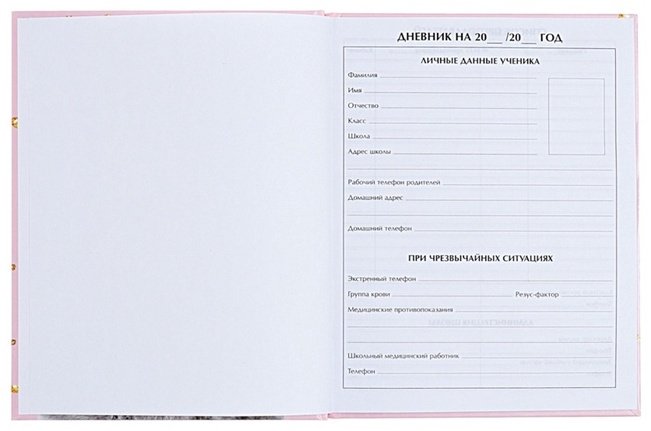 Дневник школьный Calligrata Киса ДС-4698434, 40 л купить,NaN