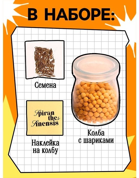Выращивание растений Эврики 10762661 купить,NaN