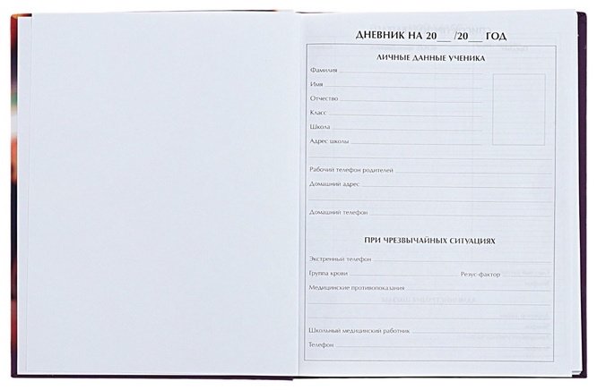 Дневник школьный Calligrata Стильная девочка ДС-10091274, 40 л купить,NaN