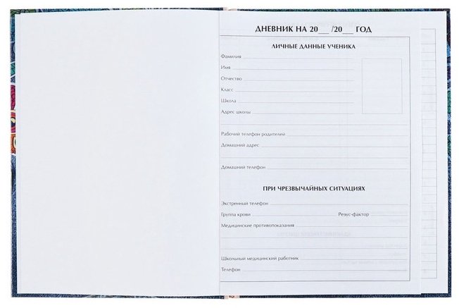 Дневник школьный Calligrata Котята в кармане 1309328, 40 л купить,NaN