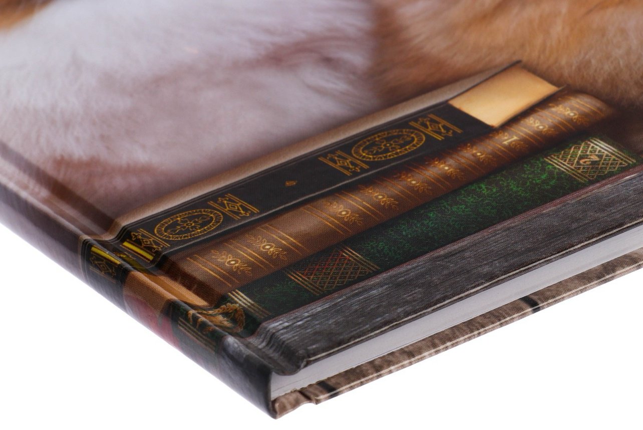 Дневник школьный Calligrata Шпиц 2989490, 40 л купить,NaN
