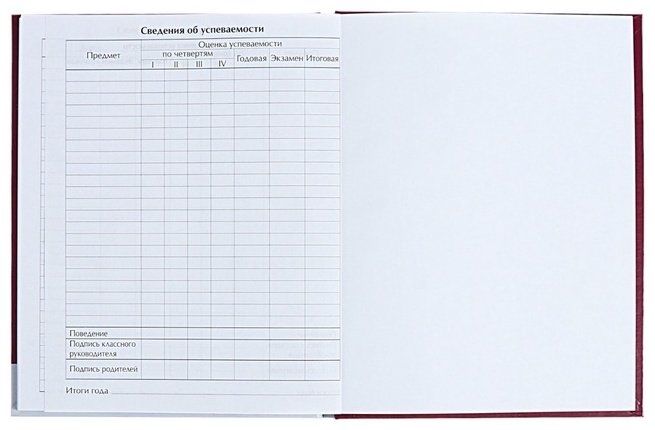 Дневник школьный Calligrata Енотик 10091299, 48 л купить,NaN