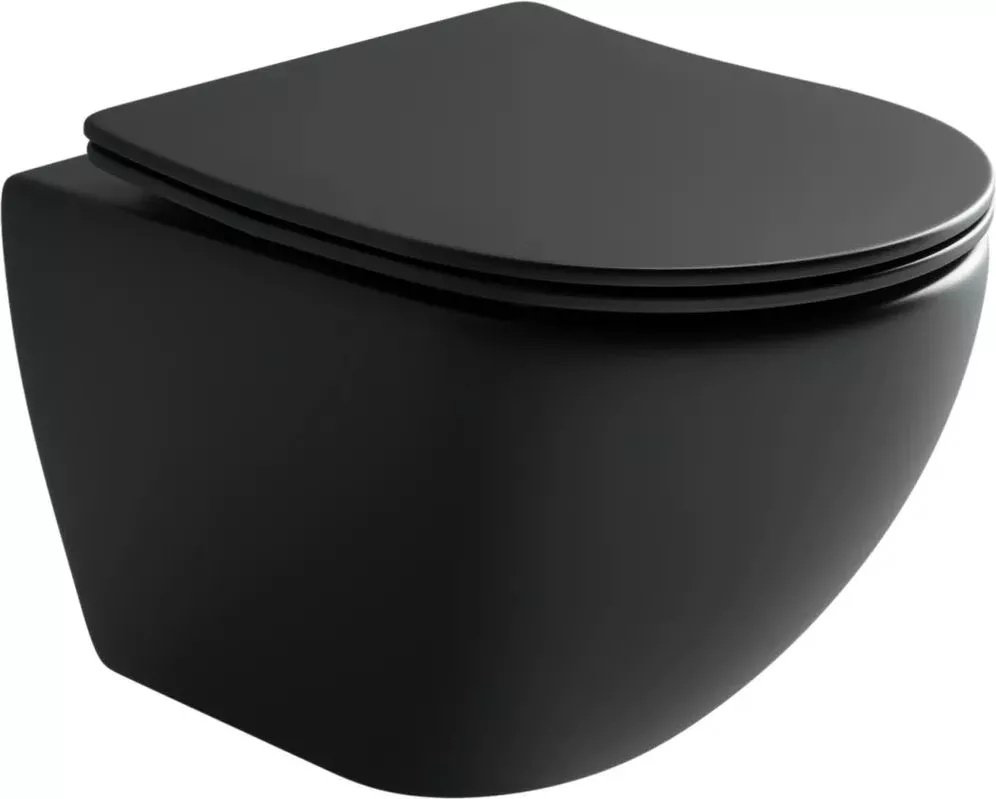 Унитаз Ceramicanova CN4002MB_1002CH_1000 с инсталляцией черный купить,683500