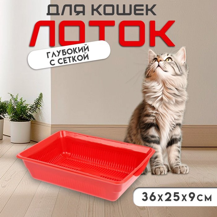 Туалет-лоток красный купить,NaN