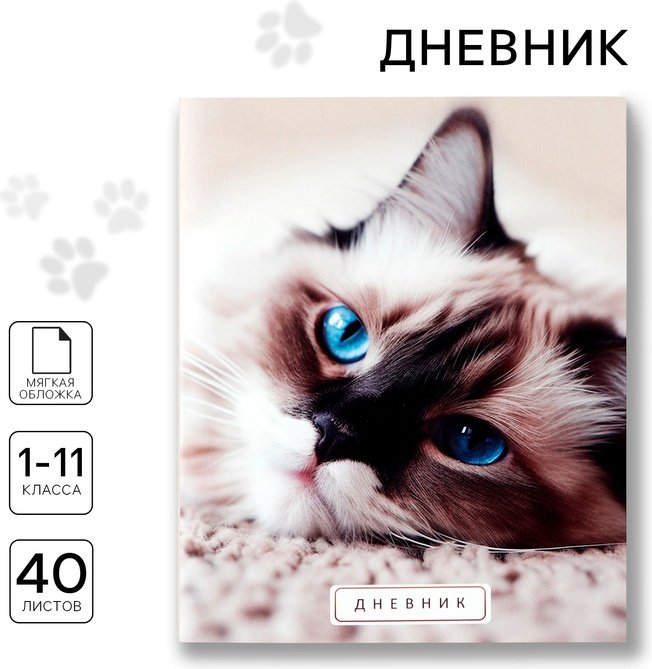 Дневник школьный ArtFox STUDY Кошка 10208113, 40 л купить,NaN