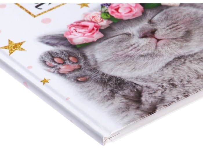 Дневник школьный Calligrata Котенок с розами ДС-2989489, 40 л купить,NaN
