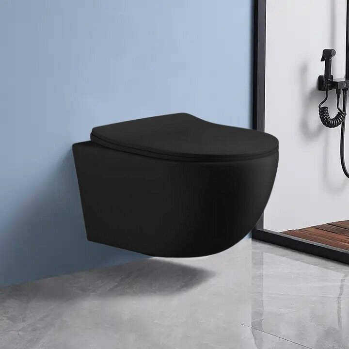 Унитаз Cerruti CT10017 черная купить,187400