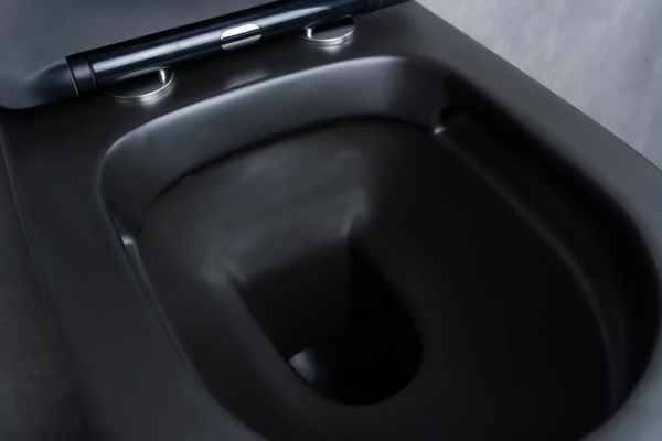 Унитаз GID-ceramic 62205Y Tr2130bm черный купить,NaN