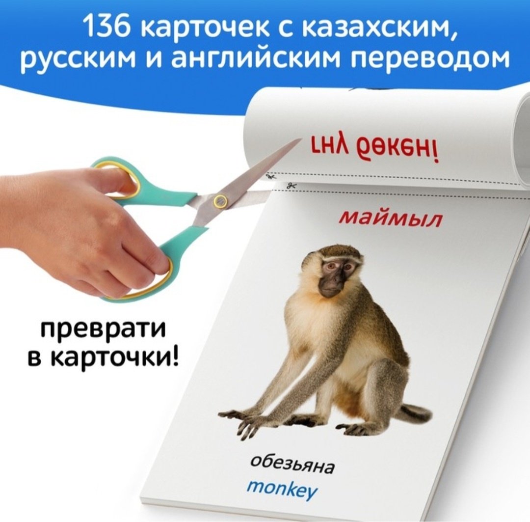 Книга А.Бажева: Набор книг по методике Г. Домана на казахском языке купить,NaN