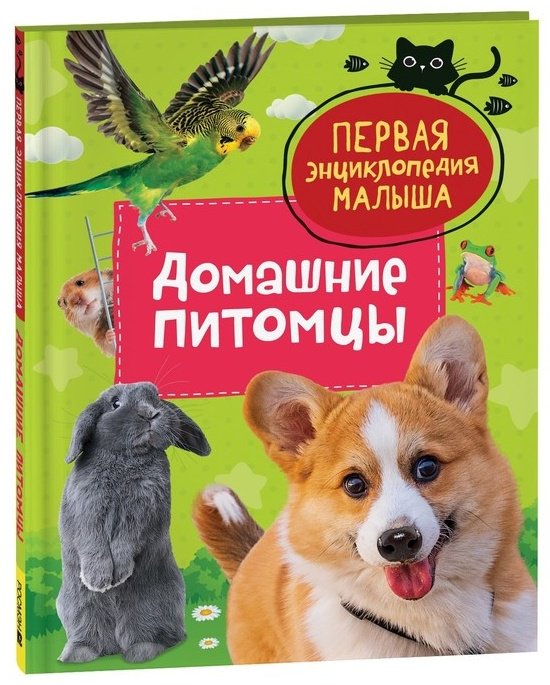 Книга Попова Лариса Александровна: Первая энциклопедия малыша. Домашние питомцы купить,NaN