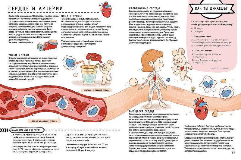 Книга Книга с секретами. Секреты тела человека купить,NaN