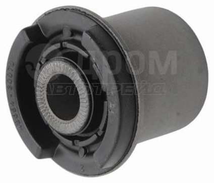 RBI сайлентблок рычага подвески T24GX901W
