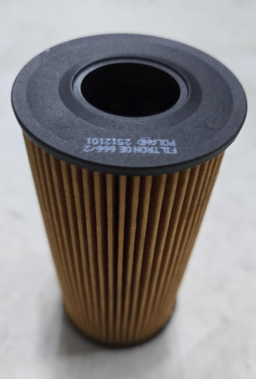 FILTRON масляный фильтр OE666/2 купить,NaN