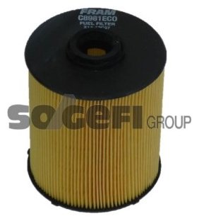 FRAM топливный фильтр C8981ECO купить,NaN