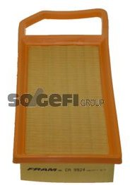FRAM Фильтр Воздушный CA9924 купить,NaN