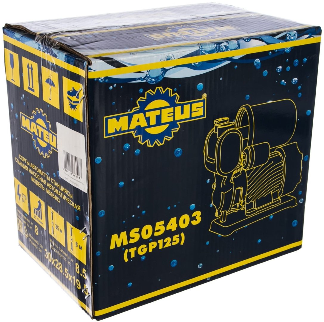 Насос поверхностный Mateus TGP125 MS05403 купить,NaN