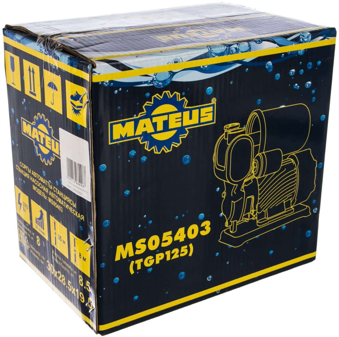 Насос поверхностный Mateus TGP125 MS05403 купить,NaN