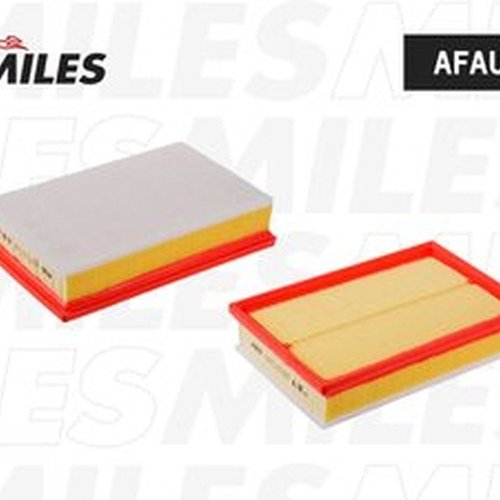 MILES воздушный фильтр AFAU123 купить,NaN