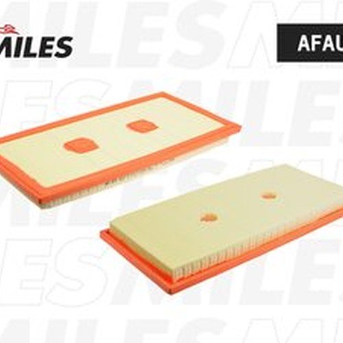 MILES воздушный фильтр AFAU176 купить,NaN